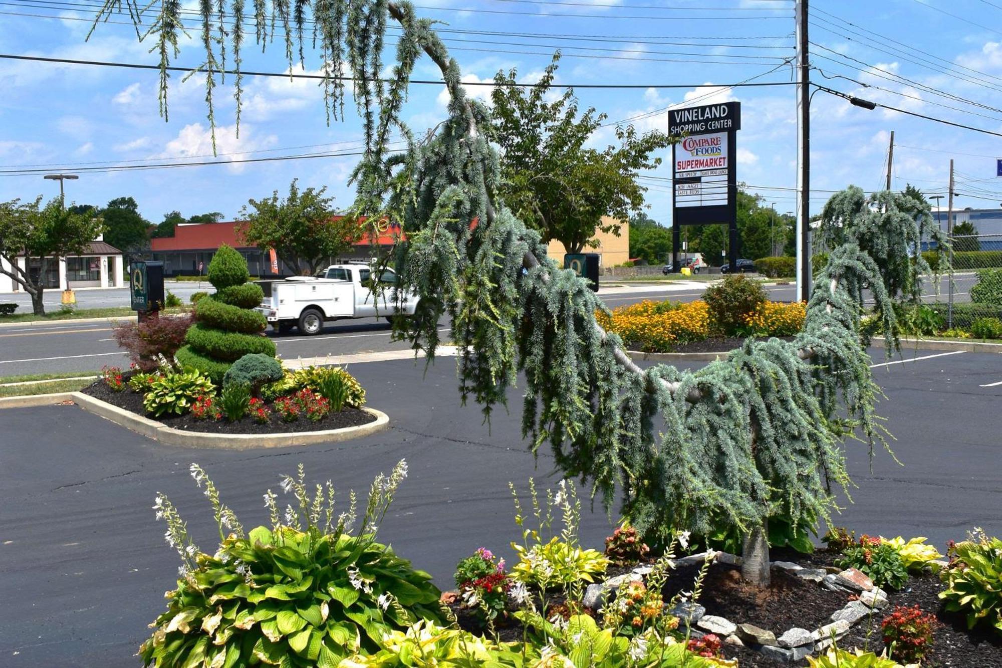 Quality Inn Vineland Exterior foto